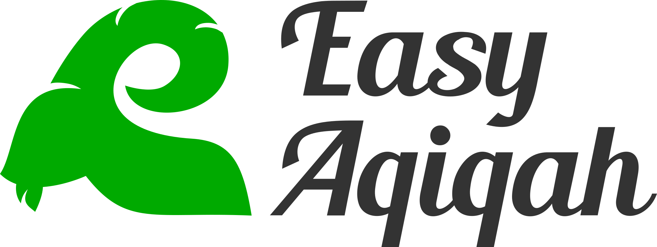 Logo Easy Aqiqah